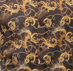 Chocolate Feather And Paisley Front Design 2 Piece Long Sleeve Walking Suit Set -Gentri Store 2374Chocolate detail