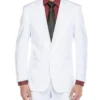Vanderbilt Collection - Classic 2 Piece Suit 2 Buttons Regular Fit In White