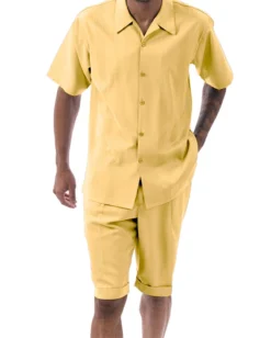 Gold Tone On Tone Vertical Stripes Walking Suit 2 Piece Short Sleeve Set With Shorts