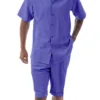 Purple Tone On Tone Vertical Stripes Walking Suit 2 Piece Short Sleeve Set With Shorts