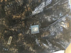 Empire Collection - Regular Fit Black And Gold With Fancy Metallic Pattern Sports Coat -Gentri Store IMG 0578 1