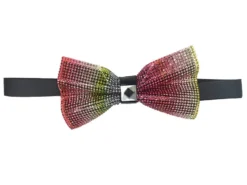 Rainbow Sparkling Crystal Adjustable Men's Bowtie Accessory Box