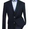 Regular Fit Blazer 2 Button In Navy